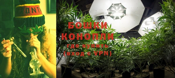 амф Белокуриха