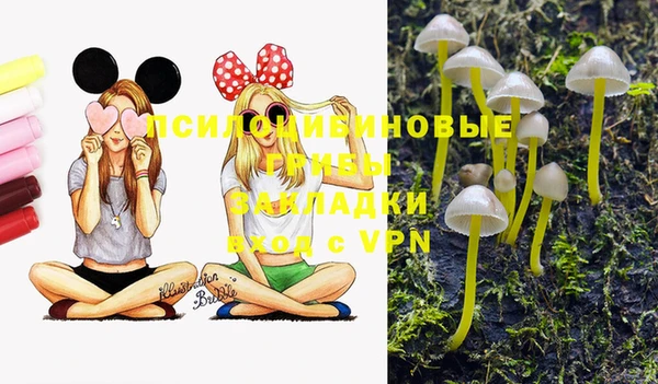 амф Белокуриха